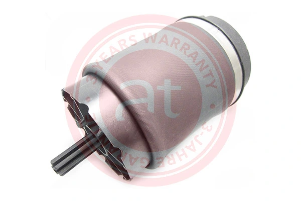 Air Spring, suspension
